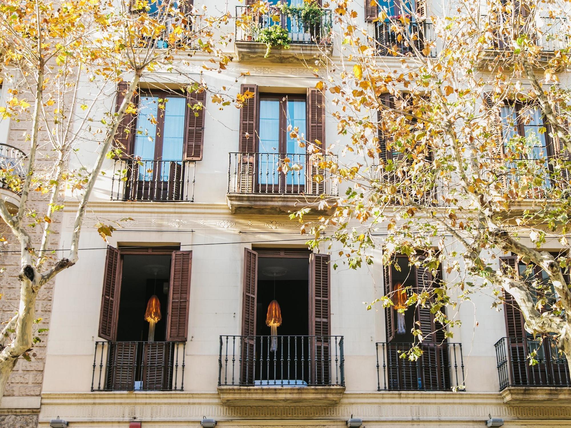 Zoorooms Boutique Gasthuis Barcelona
